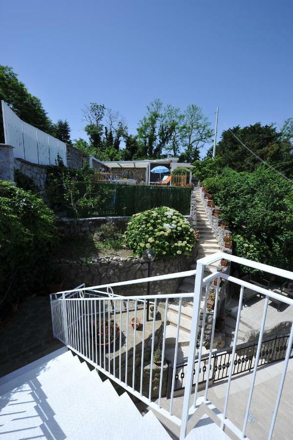 Villa Walter Sorrento Bagian luar foto